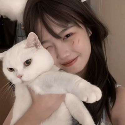 暴风刀塔手游bt版(暂未上线)v2.5.5 安卓sf版